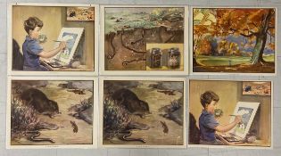 Eileen Alice Soper (1905-1990), a set of six 1950s educational school posters, illustrations for the