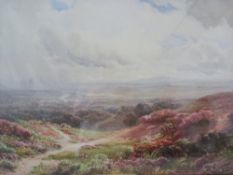 A 19th century watercolour, open moorland, framed and glazed. H.54 W.74cm