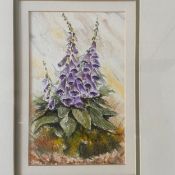 A contemporary watercolour study of foxgloves, signed C.E. Cooper and dated 1995 to the lower
