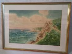 An early 20th century framed and glazed watercolour, seascape with cliffs and sheep, signed A