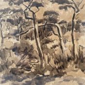 Kees Jansen (1922-1984), a contemporary ink and sepia wash tree study, signed and dated 1980 to