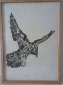 A framed and glazed limited edition etching, titled Bird One, numbered and monogrammed in pencil