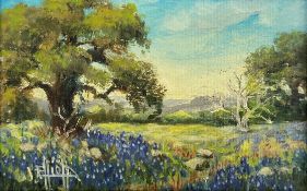 A framed oil on board, country landscape, signed J Elliott. H.14 W.19.5cm