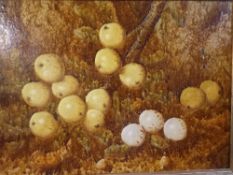 A 19th century oil on canvas laid on board, still life fruit. 71x42cm.