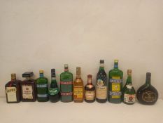 A mixed collection of eleven bottles of spirits, liqueurs and others to include De Pontiac, Jan