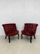 A pair of contemporary salon chairs in buttoned upholstery on ebonised cabriole supports. H.74cm