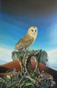 A framed oil on canvas titled Barn Owl, May in Cornwall, signed David Pratt with Mall Galleries