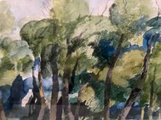 Henry Collins (1910-1994), watercolour titled 'Lexden Park, Spring Lane' 1983, signed to the