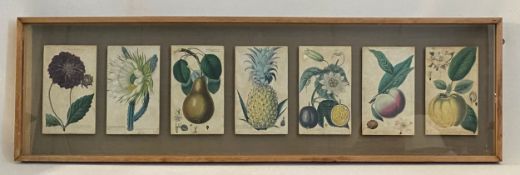 A set of seven hand coloured engravings, possibly 19th century, float mounted together in a single