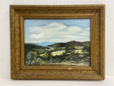 A 19th century oil on panel, English School landscape, glazed in a gilt frame. 49x39cm.