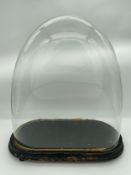 A 19th century blown glass display dome on ebonised base. H.42cm.