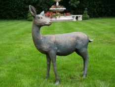 A garden sculpture figure of a doe in ceramic composite. 90 x 80 x 35cm