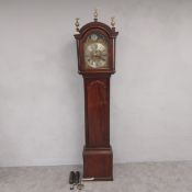 A 19th century mahogany longcase or grandfather clock having three brass figural bird finials over