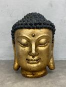 A cast iron head of a meditating Buddha in gilt. H.53cm.
