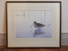 A Jonathan Sainsbury (b.1951) watercolour of a snipe, signed, framed and glazed. 62x53cm.