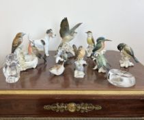 EIGHT PORCELAIN BIRDS BY KARL ENS TOGETHER WITH OTHERS