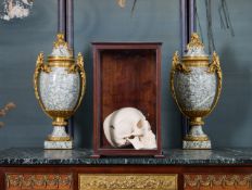 A RESIN MODEL OF A HUMAN SKULL IN MAHOGANY DISPLAY CASE
