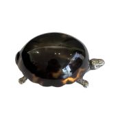 A RARE EARLY 20TH CENTURY TORTOISE TABLE MATCH BOX C. 1905