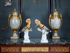 MEISSEN: A PAIR OF PORCELAIN MODELS OF HOOPOE BIRDS