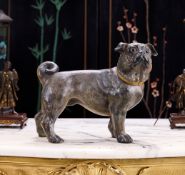 AN EARLY 20TH CENTURY AUSTRIAN PAINTED TERRACOTTA MODEL OF A PUG