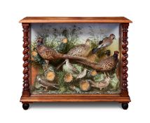 A FINE 19TH CENTURY TAXIDERMY DISPLAY BRITISH BIRDS BY LEWIS HUTTON OF BRISTOL