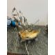A STERLING SILVER AND SILVER GILT NEF WITH LONDON IMPORT MARKS - Image 6 of 9