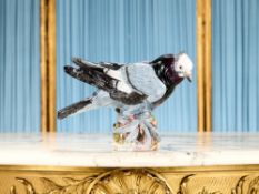 MEISSEN: A 19TH CENTURY PORCELAIN MODEL OF A WOOD PIGEON