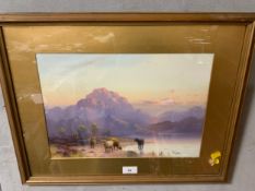 P. Cooper - A watercolour depicting Highland cattle framed and glazed
