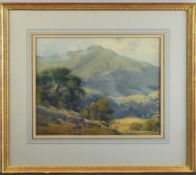 Percy Gray Watercolor, Mt. Tamalpais.