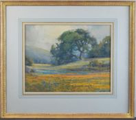 Percy Gray Watercolor, Poppies in Meadow.
