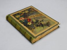 One Volume, Botanischer Bilder Atlas, 1884.