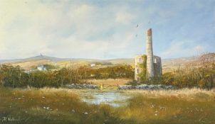 Russ HOLLAND (XX) Ding Dong Mine