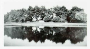 Stacey EBEL Treeline