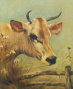 Late Victorian School Jersey Cow