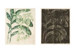 Chris SMITH (1950) Eden Days & Eden Nights