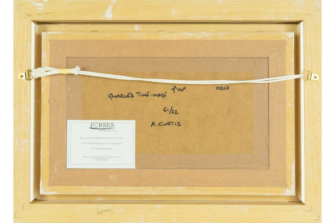 Anthony Ewart CURTIS (1928-2018) Gnarled Time-Image - Image 3 of 3