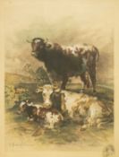 After Thomas George COOPER (1836-1901) The Monarch of the Meadows (1882)