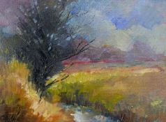 David GAINFORD (1941) Watermeadows