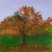 Judy SYMONS (XX-XXI) Japanese Maple
