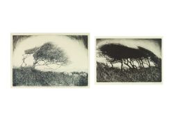 Adrienne PEVERALL (XX-XXI, St Ives Society of Artists) Two etchings