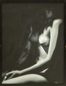 Janine WING (1979) Nude