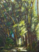 Chris SMITH (1950) Beech Wood