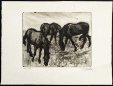 A Trio of Horses
