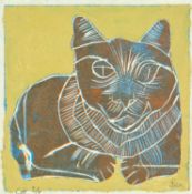 Ben CARRIVICK (1980) Cat