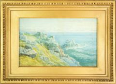 Samuel Phillips JACKSON (1830-1904) Cornish Clifftop View