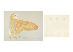 Valentine Stewart 'Pat' PATON (1925-2012) Barn Owl