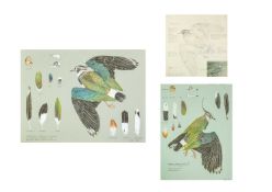 Valentine Stewart 'Pat' PATON (1925-2012) Lap-Wing