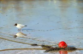 Ian GRIFFITHS (XX-XXI) Newham Reflections