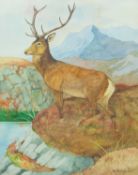 Ralston GUDGEON (1910-1984) Red Deer Stag, Glenlednock