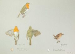 Valentine Stewart 'Pat' PATON (1925-2012) Robin & Wren